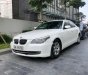 BMW 5 Series 2009 - Cần bán BMW 5 series 523i 2009, màu trắng, nhập khẩu nguyên chiếc