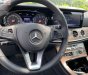 Mercedes-Benz E class   2019 - Cần bán Mercedes E200 2019, màu đen