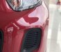 Kia Morning   2019 - Cần bán xe Kia Morning Deluxe 2019, màu đỏ, giá tốt
