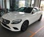 Mercedes-Benz C class GLC C300 2019 - Bán xe Mercedes-Benz GLC C300 sản xuất 2019, màu trắng, số tự động