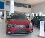 Volkswagen Tiguan 2019 - Bán Volkswagen Tiguan Allspace Luxury 2019, màu đỏ, nhập khẩu