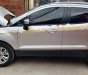 Ford EcoSport   2017 - Cần bán xe Ford EcoSport Titanium đời 2017, màu bạc, số tự động