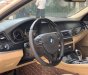 BMW 5 Series 2013 - Bán BMW 520i sản xuất năm 2013, màu trắng, xe nhập