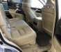 Toyota Land Cruiser VX 2016 - Bán Toyota Land Cruiser VX đời 2016, màu bạc, nhập khẩu