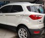 Ford EcoSport Titanium 1.5L 2019 - Bán xe Ford EcoSport Titanium 1.5L 2019, màu trắng