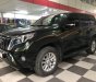 Toyota Prado TXL 2015 - Bán Toyota Prado TXL 2.7L model 2016