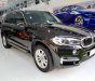 BMW X5 2017 - Bán ô tô BMW X5 đời 2017, màu đen, xe nhập