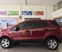 Ford EcoSport 2019 - Bán xe Ford EcoSport AT sản xuất năm 2019, màu đỏ số tự động