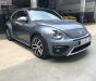 Volkswagen Beetle 2017 - Cần bán Volkswagen Beetle đời 2017, màu xám, nhập khẩu nguyên chiếc