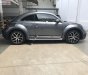 Volkswagen Beetle 2017 - Cần bán Volkswagen Beetle đời 2017, màu xám, nhập khẩu nguyên chiếc