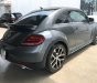 Volkswagen Beetle 2017 - Cần bán Volkswagen Beetle đời 2017, màu xám, nhập khẩu nguyên chiếc