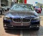 BMW 5 Series 2016 - Bán BMW 5 Series 2016, màu xanh lam, xe nhập