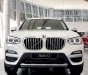 BMW X3 2020 - Bán BMW X3 năm 2020, nhập khẩu nguyên chiếc