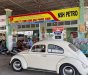 Volkswagen Beetle 1980 - Cần bán xe Volkswagen Beetle đời 1980, xe nhập