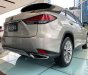 Lexus RX   300  2020 - Bán Lexus RX 300 sản xuất năm 2020, màu bạc, xe nhập