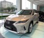 Lexus RX   300  2020 - Bán Lexus RX 300 sản xuất năm 2020, màu bạc, xe nhập