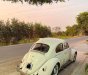Volkswagen Beetle 1980 - Cần bán xe Volkswagen Beetle đời 1980, xe nhập