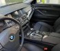 BMW 5 Series 520i   2015 - Cần bán xe BMW 5 Series 520i đời 2015, xe nhập chính chủ