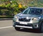 Subaru Forester   2.0 Eyesight  2019 - Cần bán Subaru Forester 2.0 Eyesight 2019, nhập khẩu nguyên chiếc