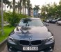 BMW 3 Series  320i  2013 - Bán BMW 3 Series 320i sản xuất năm 2013