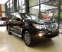 Nissan X Terra    2019 - Bán Nissan X Terra năm sản xuất 2019, màu đen, xe nhập
