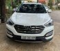 Hyundai Santa Fe   2013 - Bán xe Hyundai Santa Fe năm 2013, nhập khẩu nguyên chiếc