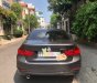 BMW 3 Series  320i   2013 - Bán ô tô BMW 3 Series 320i đời 2013, màu xám, xe nhập