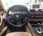 BMW 3 Series  320i   2013 - Bán ô tô BMW 3 Series 320i đời 2013, màu xám, xe nhập