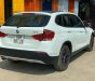 BMW X1   2010 - Bán xe cũ BMW X1 sản xuất 2010, nhập khẩu