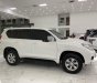 Toyota Prado 2011 - Bán Toyota Prado sản xuất năm 2011, màu trắng