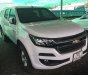 Chevrolet Colorado 2017 - Bán ô tô Chevrolet Colorado đời 2017, màu trắng, nhập khẩu nguyên chiếc