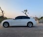 BMW 3 Series 2016 - Cần bán BMW 3 Series năm 2016, màu trắng, nhập khẩu