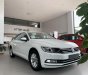 Volkswagen Passat Bluemotion comfor 2017 - Volkswagen Passat Bluemotion-nhập khẩu nguyên chiếc 