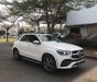 Mercedes-Benz GLE-Class 2020 - Cần bán gấp Mercedes GLE450 4 MATIC đời 2020, màu trắng, nhập khẩu nguyên chiếc