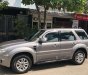 Ford Escape    2010 - Cần bán gấp Ford Escape đời 2010, màu xám