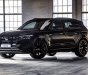 Volkswagen Touareg   Premium   2020 - Bán ô tô Volkswagen Touareg Premium đời 2020, màu đen, nhập khẩu