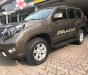 Toyota Prado 2014 - Bán nhanh chiếc Toyota Prado đời 2015, màu nâu, nhập khẩu nguyên chiếc