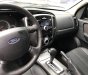 Ford Escape   2010 - Bán xe cũ Ford Escape sản xuất 2010, màu đen