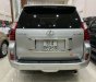 Lexus GX 460 2011 - Bán xe Lexus GX 460 năm sản xuất 2011, màu bạc, nhập khẩu nguyên chiếc