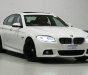 BMW 5 Series   2015 - Bán ô tô BMW 520i 2015, màu trắng, nhập khẩu, 900 triệu