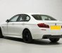 BMW 5 Series   2015 - Bán ô tô BMW 520i 2015, màu trắng, nhập khẩu, 900 triệu