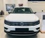 Volkswagen Tiguan Luxury Topline 2019 - Bán xe Volkswagen Tiguan Luxury Topline 2019, màu trắng