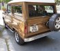 Ford Bronco 1980 - Bán xe Ford Bronco năm sản xuất 1980, màu nâu, nhập khẩu