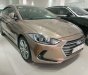 Hyundai Elantra   2017 - Bán Hyundai Elantra 2.0 GLS 2017, màu vàng  