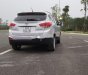 Hyundai Tucson    2011 - Bán xe Hyundai Tucson năm 2011, màu bạc, nhập khẩu nguyên chiếc  