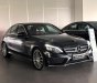 Mercedes-Benz C class   C300  2017 - Bán ô tô Mercedes C300 sản xuất năm 2017