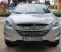 Hyundai Tucson 2010 - Xe Hyundai Tucson năm 2010, màu bạc, nhập khẩu nguyên chiếc