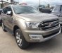 Ford Everest   2017 - Cần bán xe Ford Everest 2017, màu bạc, nhập khẩu  