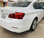 BMW 5 Series   2010 - Cần bán BMW 523i 2010, màu trắng, xe nhập 