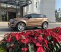 LandRover Evoque 2014 - Bán LandRover Evoque sản xuất 2014, màu nâu, nhập khẩu nguyên chiếc, giá tốt